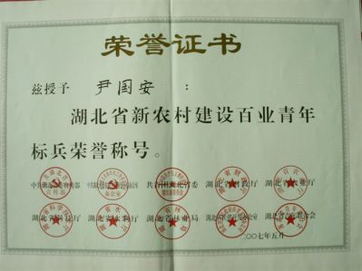 尹国安荣获湖北省百业青年建设标本荣誉证书 